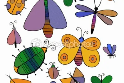 mariposa