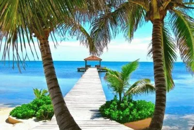 imagens jigsaw puzzle