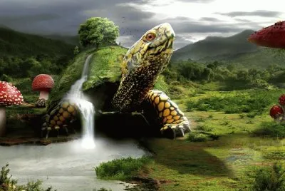 imagens