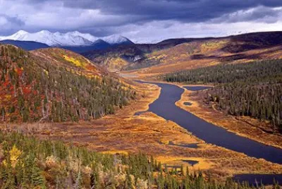 NATUREZA jigsaw puzzle