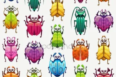 insectos