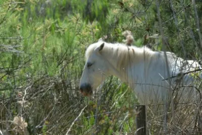 mallorca jigsaw puzzle