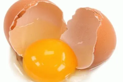 é›žè›‹