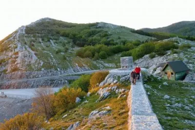NATUREZA