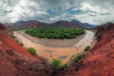 En Cafayate. Salta. Argentina