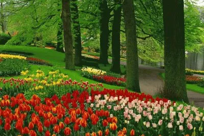 jardÃ­n rojo jigsaw puzzle