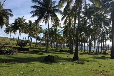 Anakena, isla de pascua jigsaw puzzle