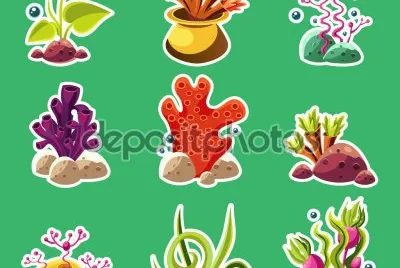 פאזל של CORAL