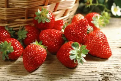 å¯å£è‰èŽ“