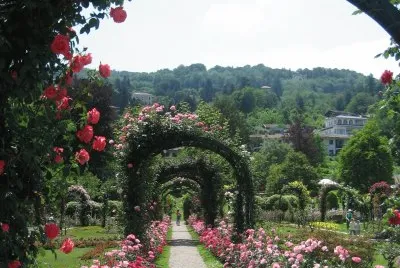 Garden Path - Northern Italy