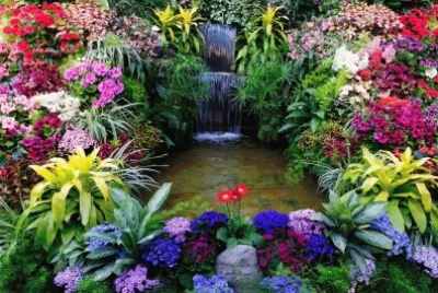 Gorgeous Waterfall Garden