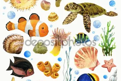 פאזל של tortuga