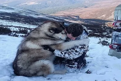 פאזל של Amor
