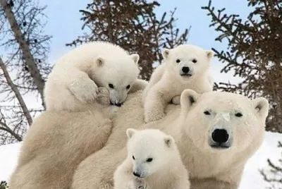 פאזל של Linda Familia