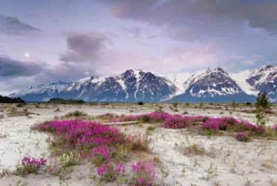 Paisatje jigsaw puzzle