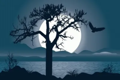 Noche