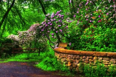 Hermoso jigsaw puzzle