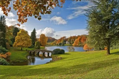 Angustia jigsaw puzzle