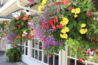 Jardines jigsaw puzzle