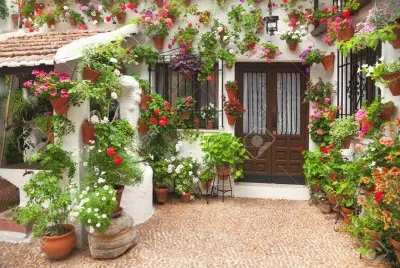 Coraci jigsaw puzzle