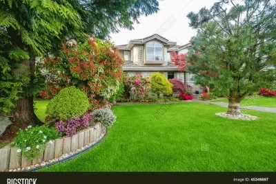 cesped jigsaw puzzle