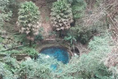 ojo de agua jigsaw puzzle