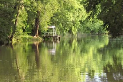 En el Delta. Buenos Aires. Argentina jigsaw puzzle