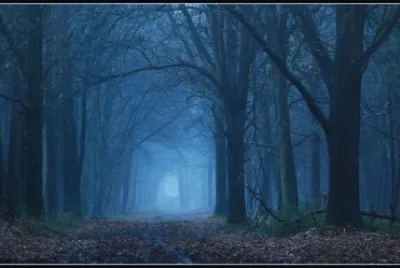 Bosque Azul, BÃ©lgica jigsaw puzzle