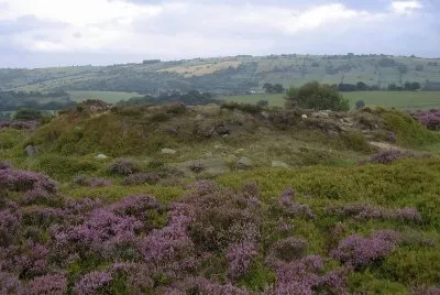 Bosque Stanton Moor, Reino Unido jigsaw puzzle