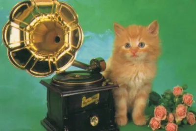 Gatet