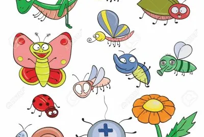 פאזל של mariposa