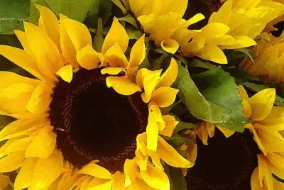 imagens jigsaw puzzle