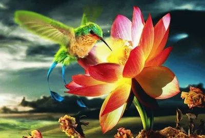 imagens jigsaw puzzle