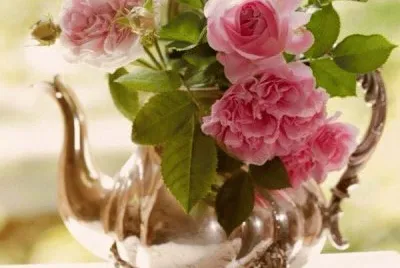 imagens jigsaw puzzle