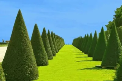 imagens jigsaw puzzle