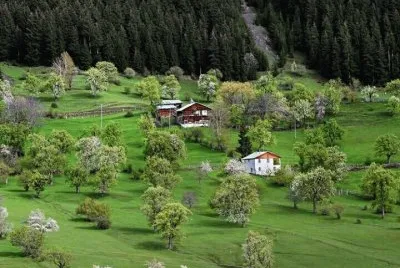 imagens jigsaw puzzle