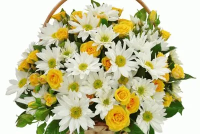 Vaso de flores jigsaw puzzle