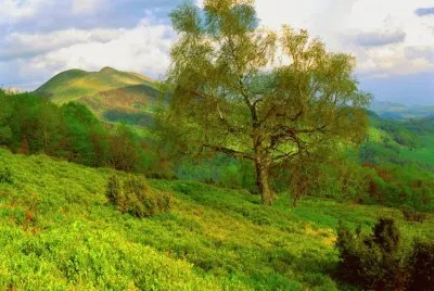 imagens jigsaw puzzle