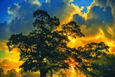 imagens jigsaw puzzle