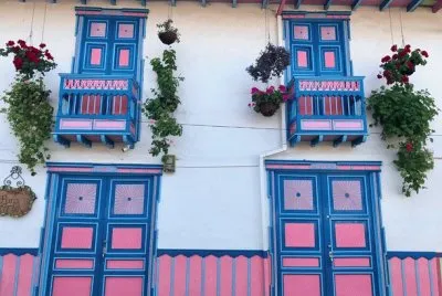 NATUREZA jigsaw puzzle