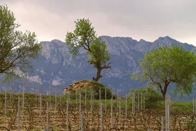 Euscadia jigsaw puzzle