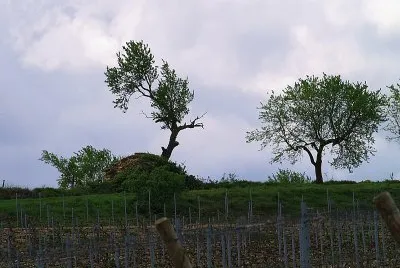 Euscadia jigsaw puzzle