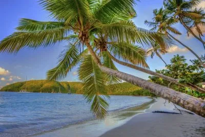 imagens jigsaw puzzle