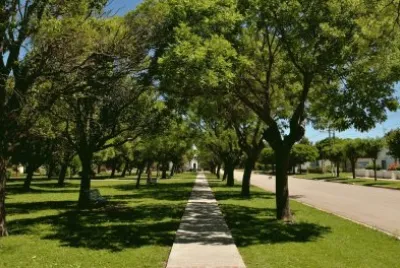 Pasman. Buenos Aires. Argentina jigsaw puzzle