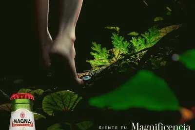 Cerveza Magna Rica jigsaw puzzle