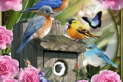 Birds jigsaw puzzle