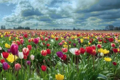 Paisatje jigsaw puzzle