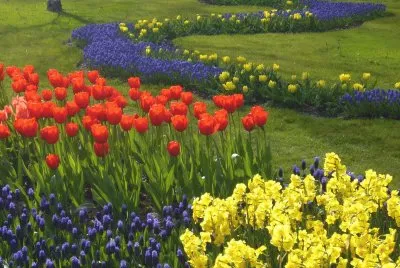 jardÃ­n florido jigsaw puzzle