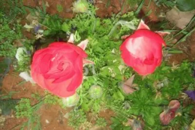 flowers jigsaw puzzle