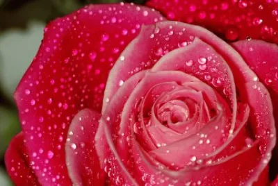 æ°´æ»´ jigsaw puzzle